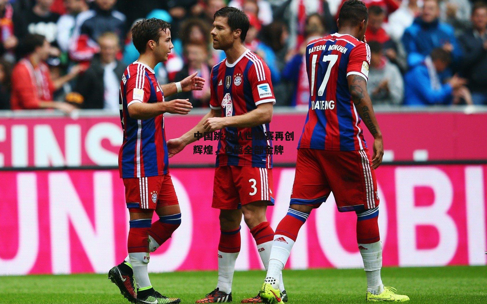 中国跳水队世锦赛再创辉煌,包揽全部金牌