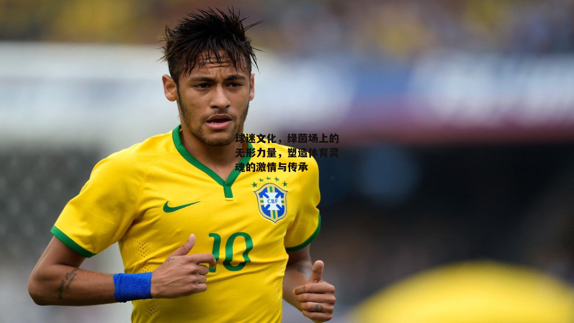 球迷文化，绿茵场上的无形力量，塑造体育灵魂的激情与传承